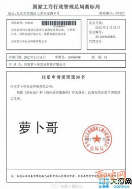 韓紅剛申請(qǐng)‘蘿卜哥’商標(biāo) 品牌意識(shí)覺醒之路